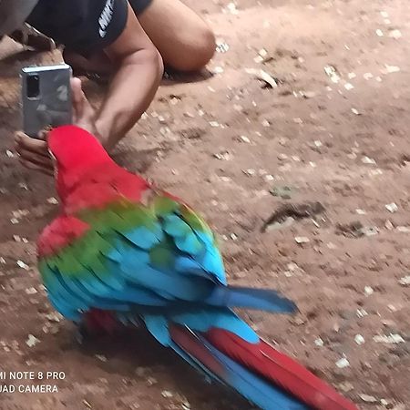Casas Bom Sono Otel Foz do Iguaçu Dış mekan fotoğraf
