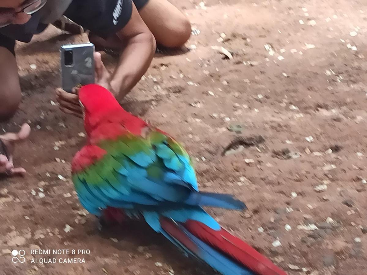 Casas Bom Sono Otel Foz do Iguaçu Dış mekan fotoğraf